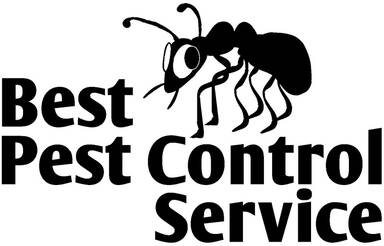 Best Pest Control Service