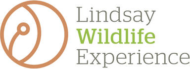 Lindsay Wildlife Experience
